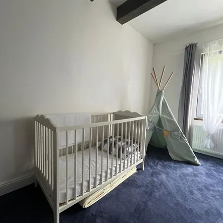 House Right On The Alpinka Golf Course 公寓 Bankov